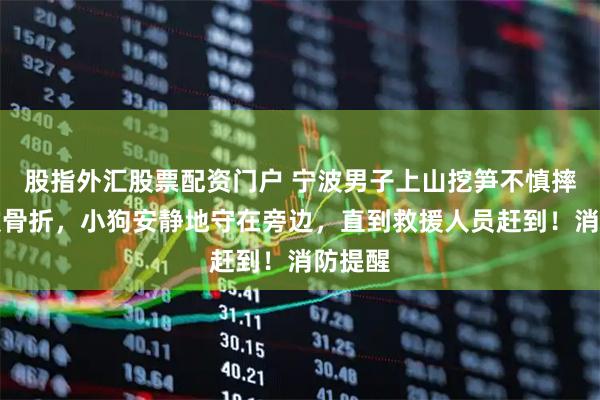 股指外汇股票配资门户 宁波男子上山挖笋不慎摔倒导致骨折，小狗安静地守在旁边，直到救援人员赶到！消防提醒